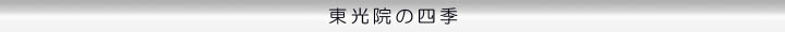東光院の四季 ボタン